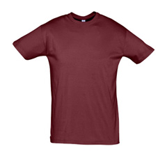 Burgundy T-Shirt